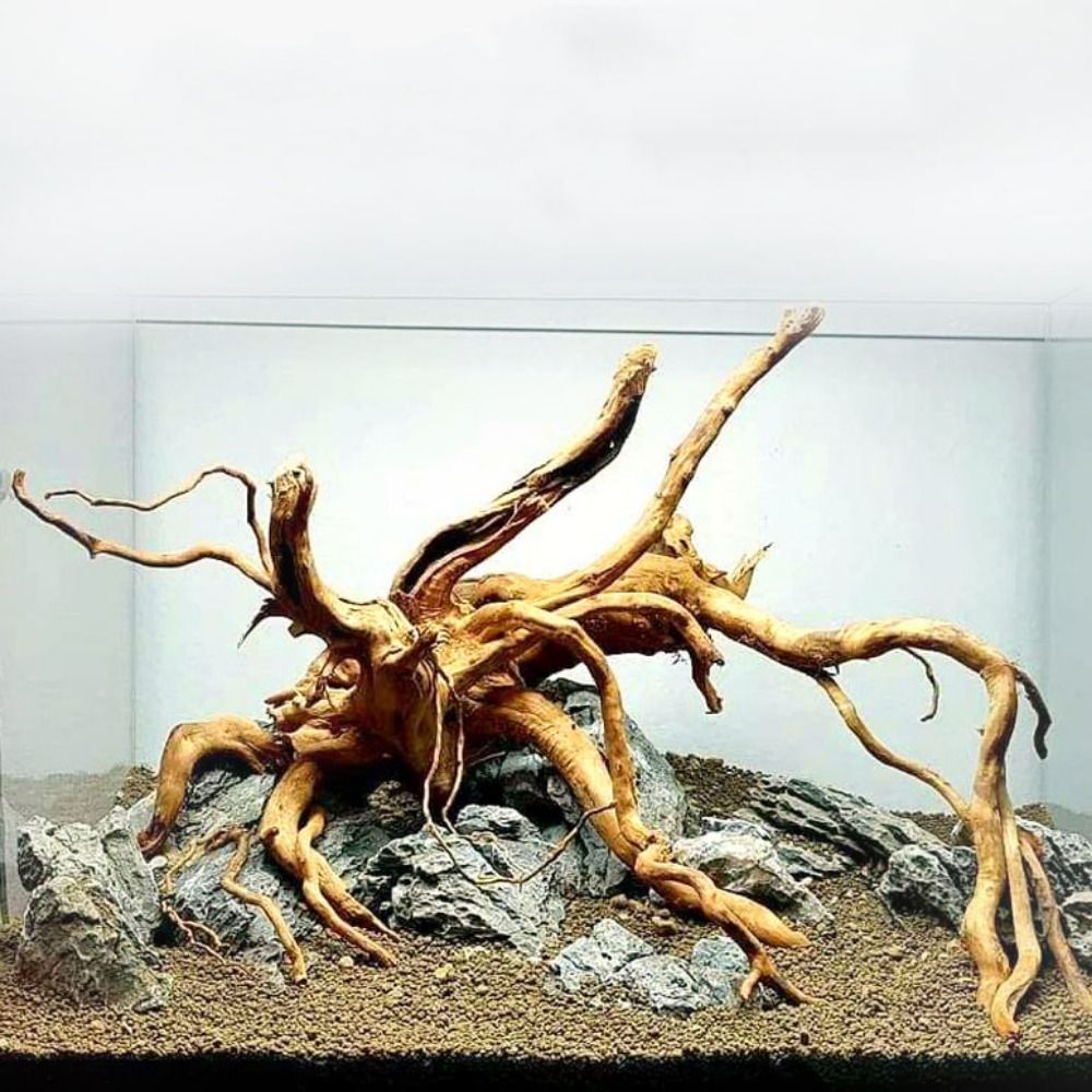 Xl Aquarium Fish - Large Aquarium Driftwood Natural Fish Tank