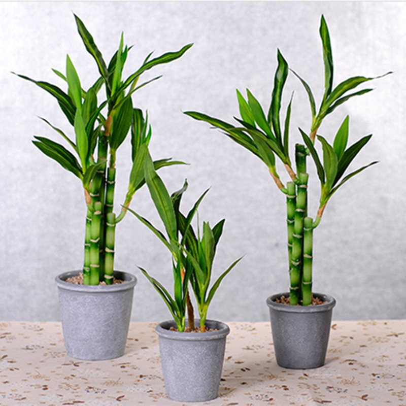 New 40cm Artificial Lucky Bamb - Aquarium Fish Only review and price