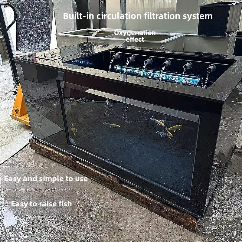 XL  Black Side-Filtered Fish T - Xl Aquarium Fish review and price