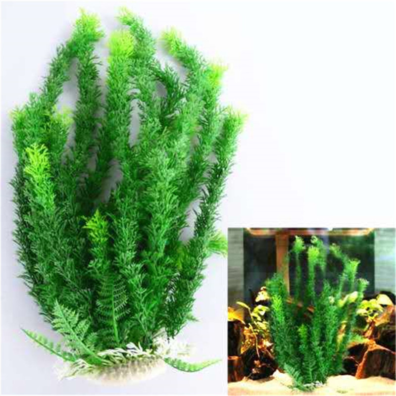 22-60cm High Large Aquarium Pl - Xl Aquarium Fish review and price