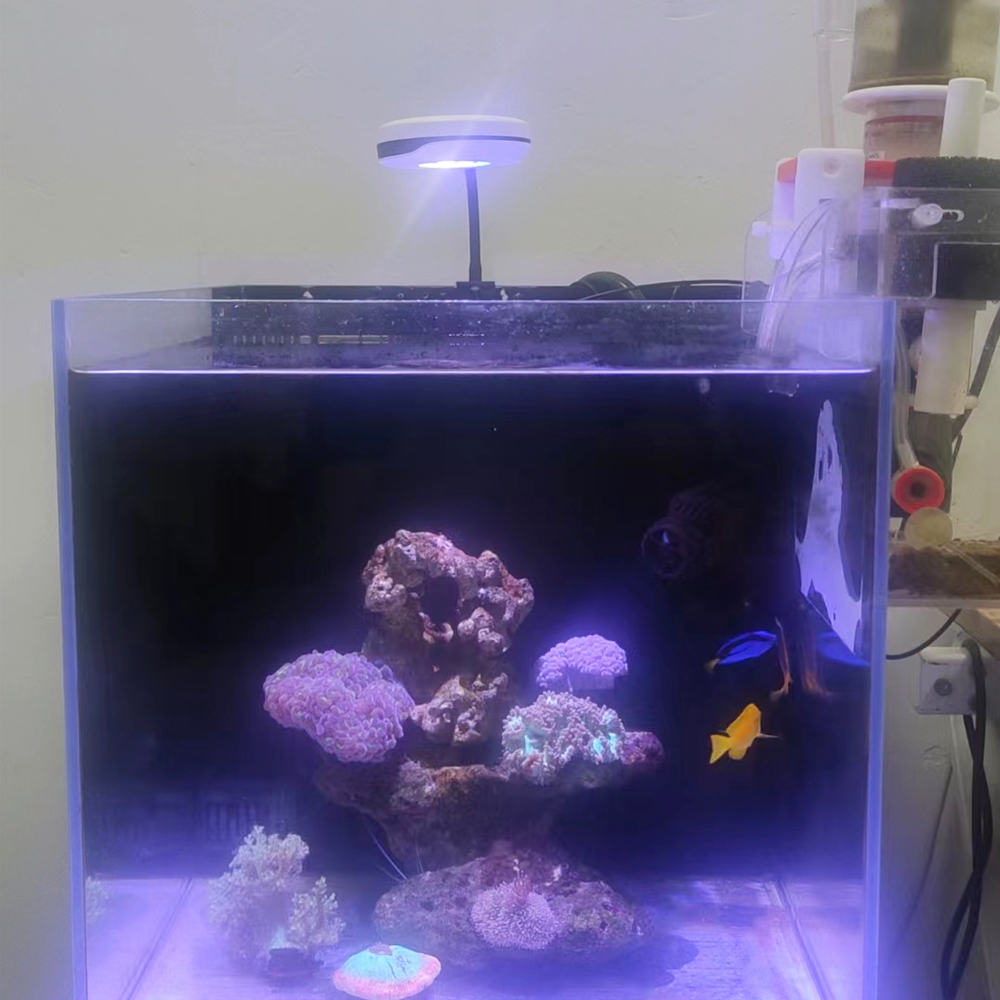 Spectra 20W LED Aquarium Light - Refugium Light Nano review and price