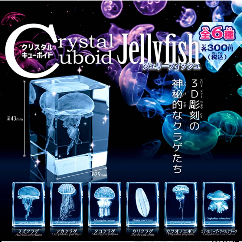 Japan Gashapon Jellyfish 3D Cr - Aquarium Fish Discus review and price