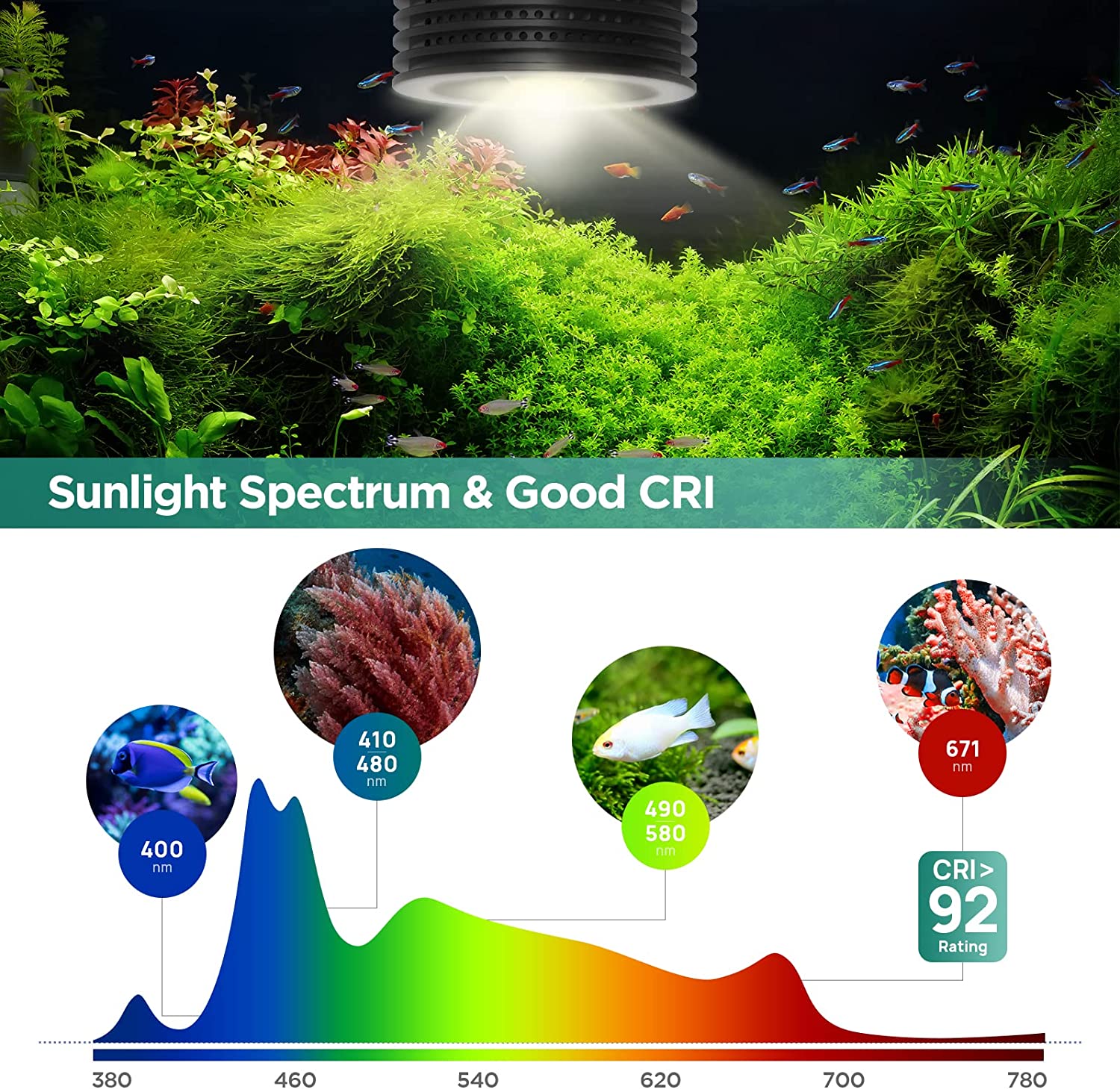 Lominie Asta 20 Freshwater 18W - Refugium Light Nano review and price