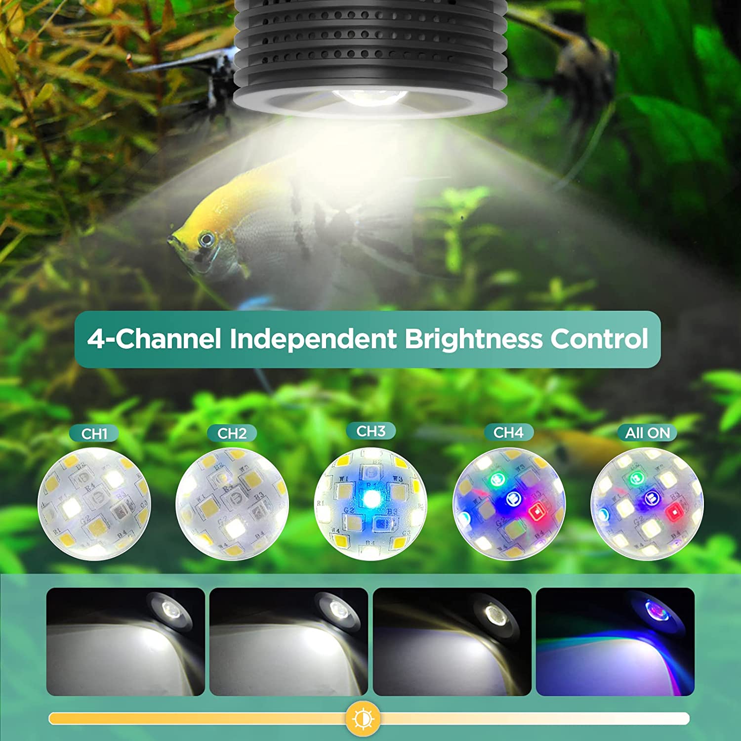 Lominie Asta 20 Freshwater 18W - Refugium Light Nano review and price