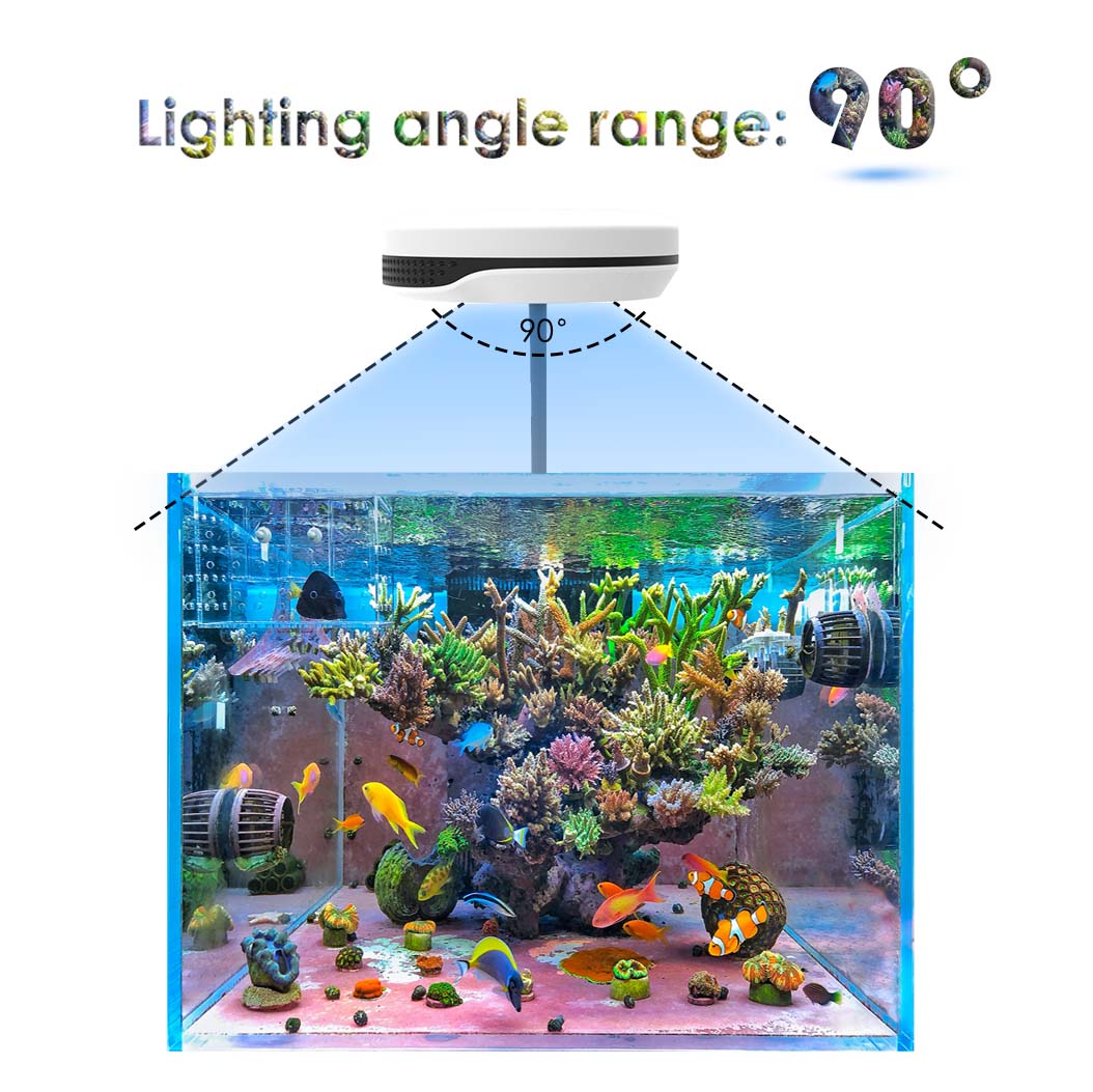 20W Spectra SP20 Ac110-240V Fr - Refugium Light Nano review and price