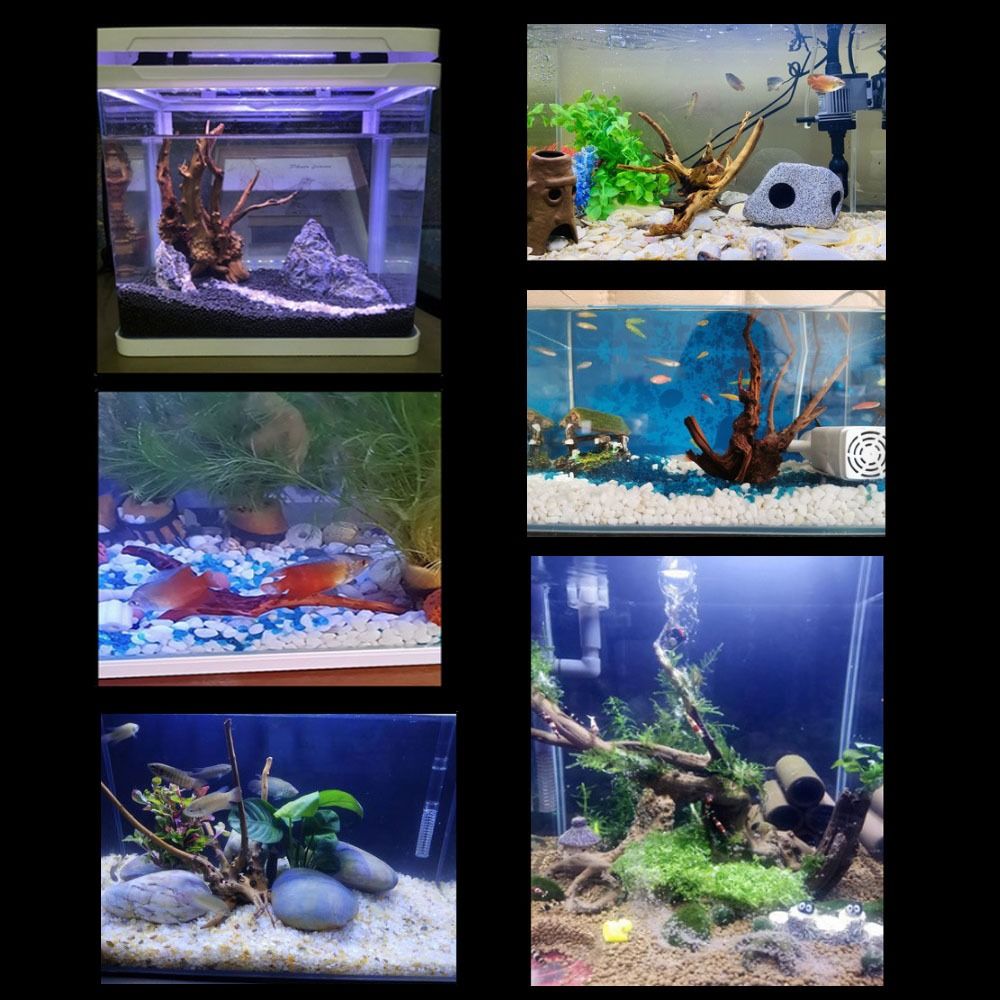 20-25CM Large Aquarium Driftwo - Xl Aquarium Fish review and price
