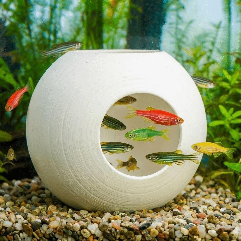Plastic Fish Shrimp Hiding Cav - Aquarium Fish Discus review and price