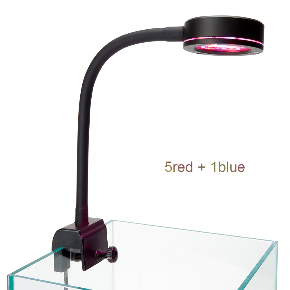 New Nano 6X3W Pico Aquarium La - Refugium Light Nano review and price