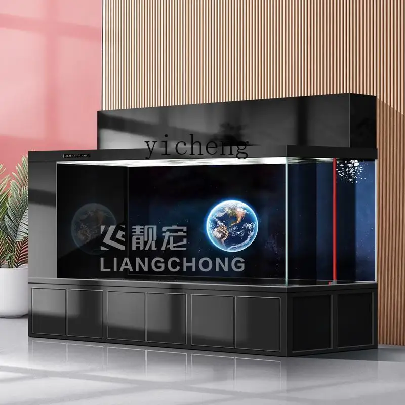 XL fish tank double filter koi - Xl Aquarium Fish review and price