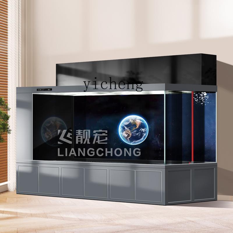 XL fish tank double filter koi - Xl Aquarium Fish review and price