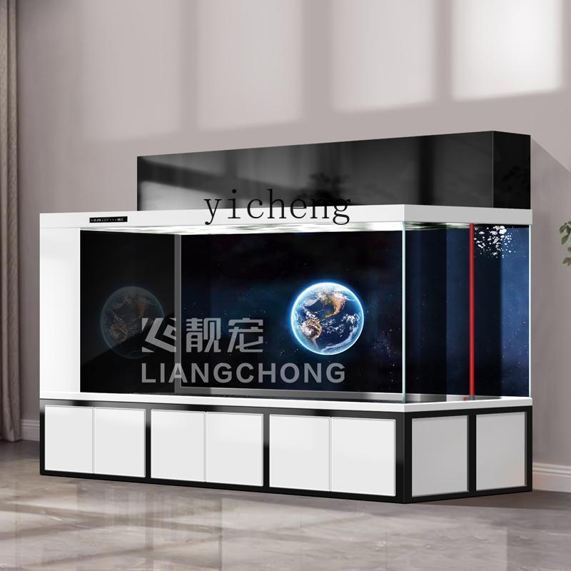 XL fish tank double filter koi - Xl Aquarium Fish review and price