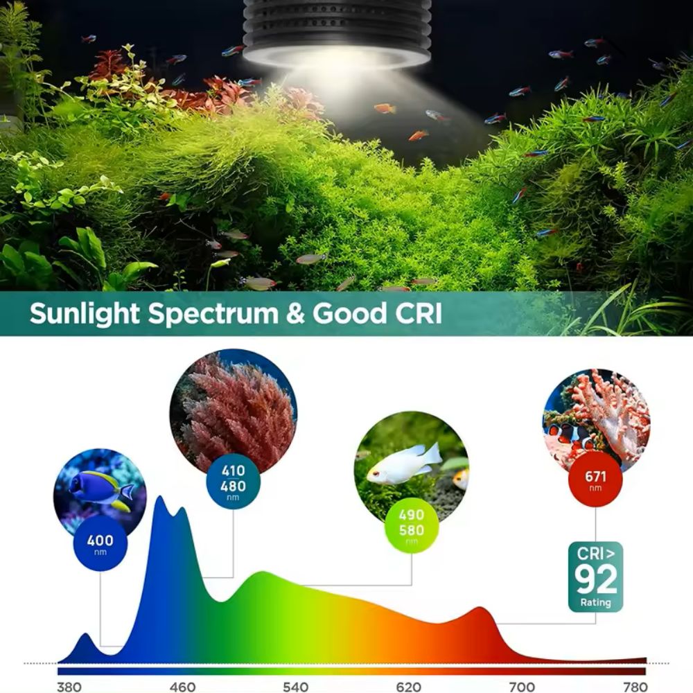 Lominie Asta 20 Freshwater 18W - Refugium Light Nano review and price