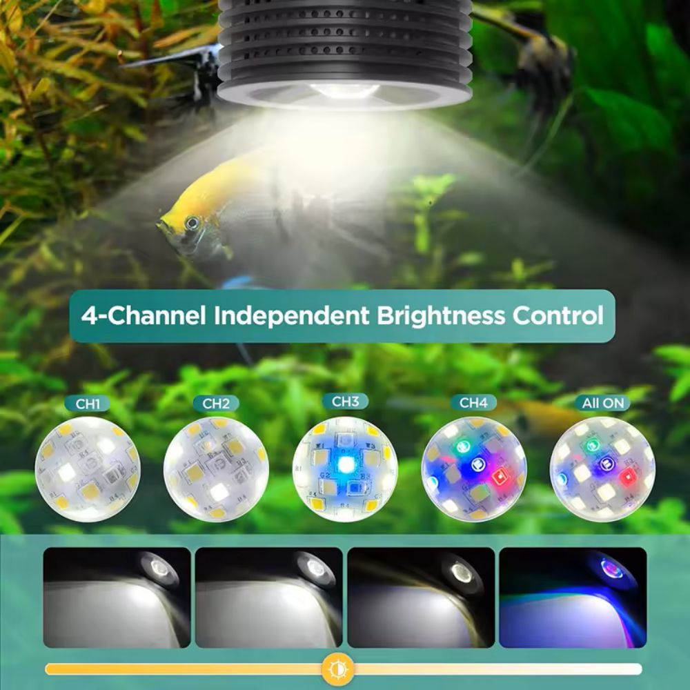 Lominie Asta 20 Freshwater 18W - Refugium Light Nano review and price